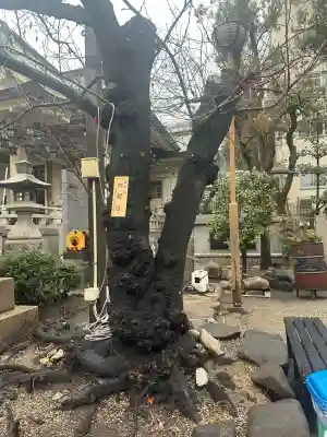 難波八阪神社の{uncategorized: "未分類", other: "その他", undefined: "問題あり", building: "その他建物", grave: "お墓", sacred_gate: "鳥居", guardian: "狛犬", statue: "像", buddha: "仏像", history: "歴史", nature: "自然", garden: "庭園", animal: "動物", pagoda: "塔", temizu: "手水舎", mountain_gate: "山門・神門", sanctuary: "本殿・本堂", subordinate: "末社・摂社", art: "芸術", scenery: "景色", jizo: "地蔵", ema: "絵馬", goshuin: "御朱印", omikuji: "おみくじ", items: "授与品その他", amulet: "お守り", goshuincho: "御朱印帳", eats: "食事", festival: "お祭り", votive_dance: "神楽", shichigosan: "七五三参", wedding: "結婚式", experience: "体験その他", initially: "初詣", around: "周辺", anti_infection: "感染症対策"}