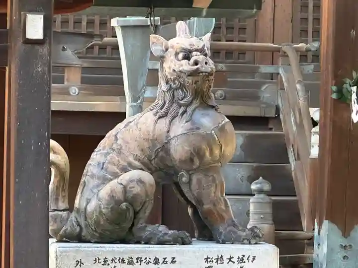 若宮八幡宮(陶器神社)の狛犬