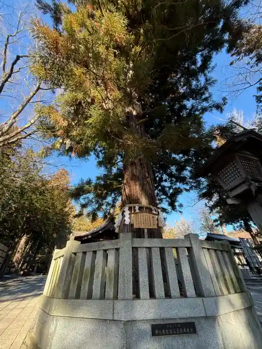 諏訪大社下社秋宮(長野県)