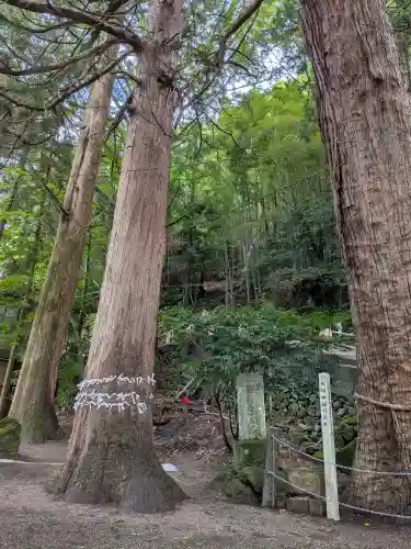 天祖神社(大分県)