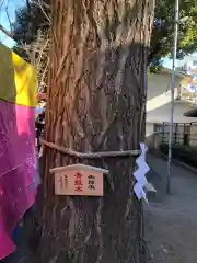 田無神社(東京都)