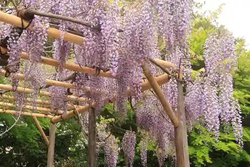 神炊館神社 ⁂奥州須賀川総鎮守⁂の庭園