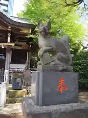 綾瀬稲荷神社の狛犬