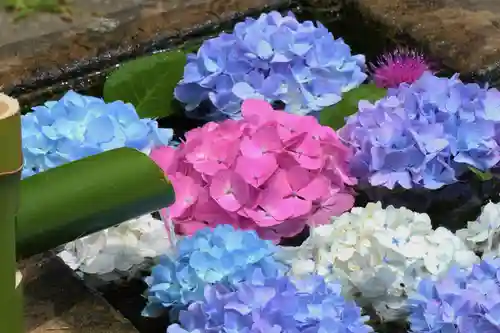 国宝 大法寺の手水舎