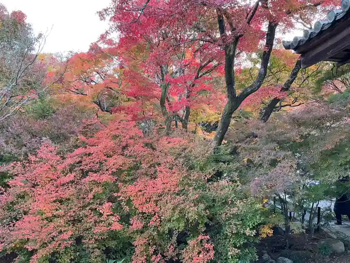 宝筐院(京都府)