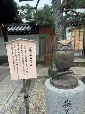 射楯兵主神社(兵庫県)