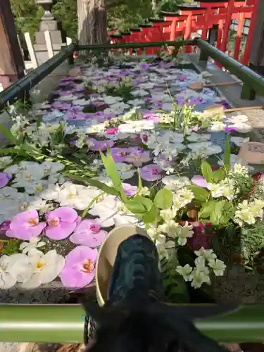 住吉神社の手水舎