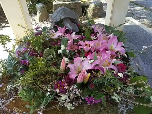 杉杜白髭神社の手水舎
