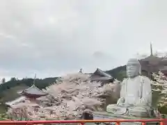 南法華寺（壷阪寺）(奈良県)