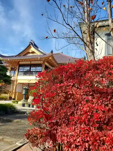 如宝寺(福島県)