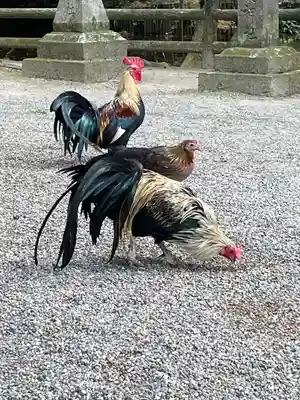 石上神宮(奈良県)