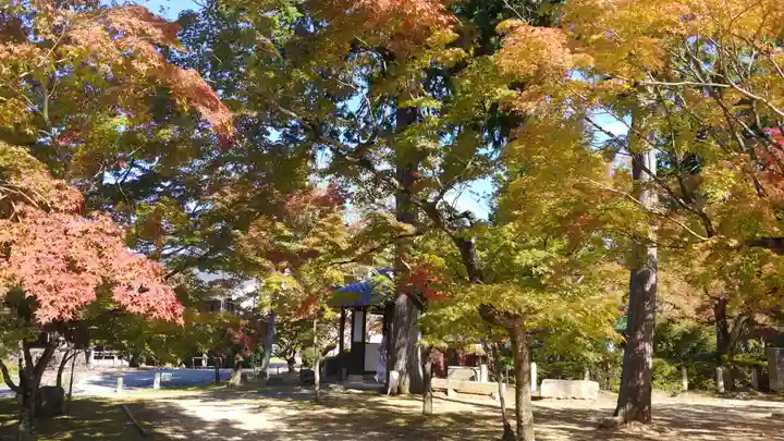 真正極楽寺(真如堂)の自然