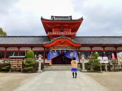 伊佐爾波神社の本殿・本堂