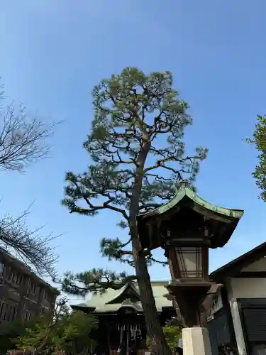 桜神宮の{uncategorized: "未分類", other: "その他", undefined: "問題あり", building: "その他建物", grave: "お墓", sacred_gate: "鳥居", guardian: "狛犬", statue: "像", buddha: "仏像", history: "歴史", nature: "自然", garden: "庭園", animal: "動物", pagoda: "塔", temizu: "手水舎", mountain_gate: "山門・神門", sanctuary: "本殿・本堂", subordinate: "末社・摂社", art: "芸術", scenery: "景色", jizo: "地蔵", ema: "絵馬", goshuin: "御朱印", omikuji: "おみくじ", items: "授与品その他", amulet: "お守り", goshuincho: "御朱印帳", eats: "食事", festival: "お祭り", votive_dance: "神楽", shichigosan: "七五三参", wedding: "結婚式", experience: "体験その他", initially: "初詣", around: "周辺", anti_infection: "感染症対策"}