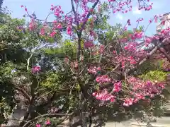 龍峰寺(神奈川県)