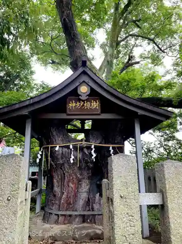 大聖勝軍寺の自然