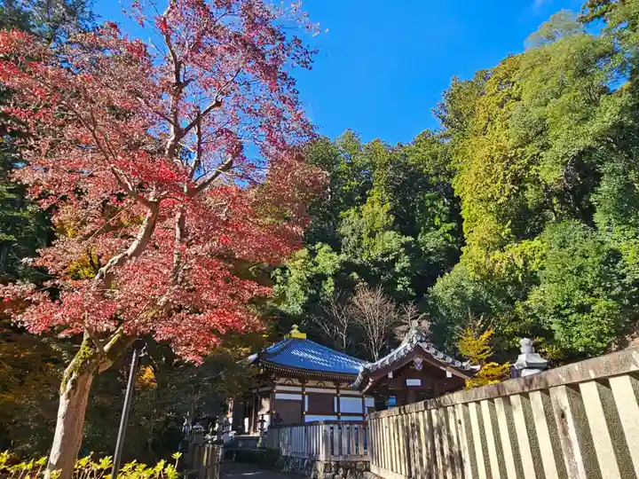 長谷寺(奈良県)