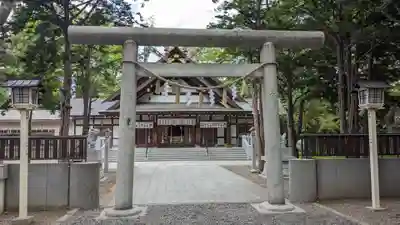 新琴似神社の鳥居