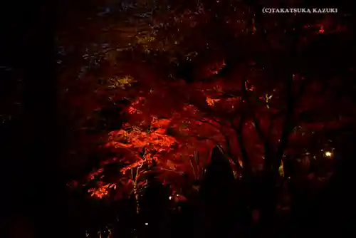 大山寺(神奈川県)