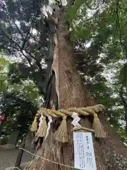 常陸國總社宮(茨城県)