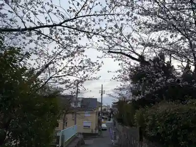 兵庫縣神戸護國神社(兵庫県)