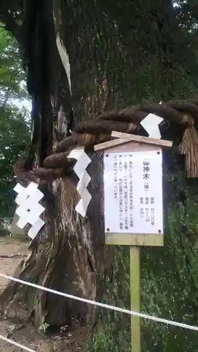 常陸國總社宮の自然