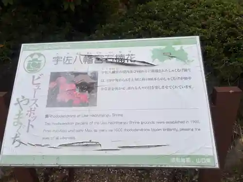 宇佐八幡宮(山口県)