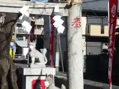 桜森稲荷神社の狛犬