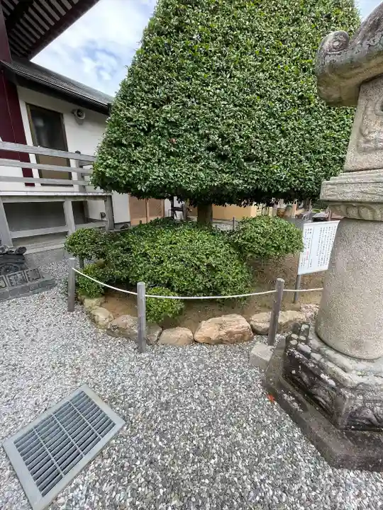 医王寺(愛知県)