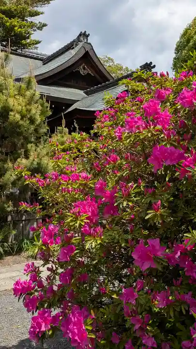 熊野神社(京都府)