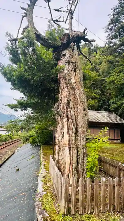 八幡神社(京都府)