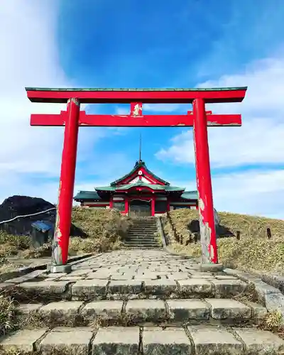 箱根元宮の鳥居