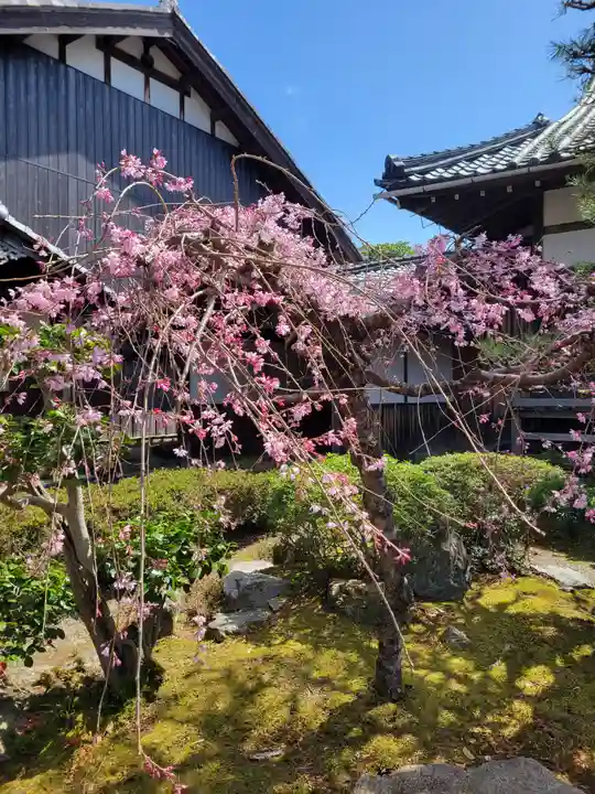 本境寺(福井県)