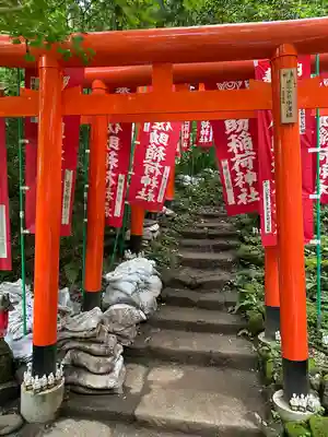 佐助稲荷神社の鳥居