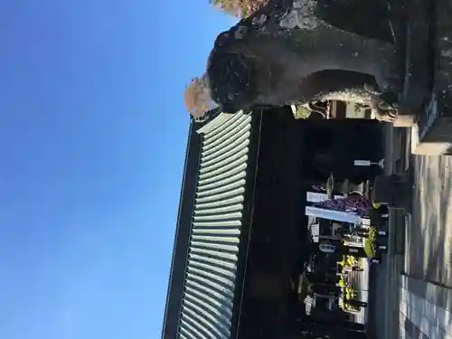 妻沼聖天山歓喜院(埼玉県)