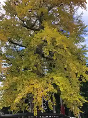 秋保神社(宮城県)