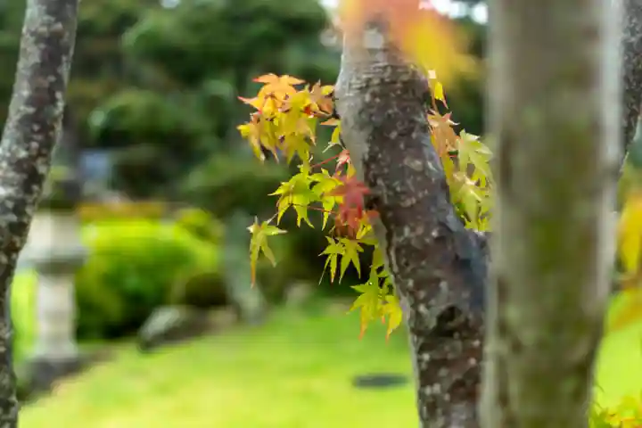 諏訪大社上社前宮(長野県)