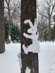 北海道神宮の建物その他