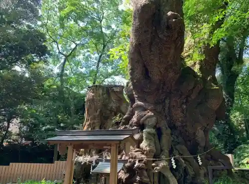 來宮神社(静岡県)