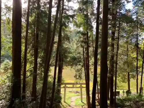 龍岳神社の鳥居