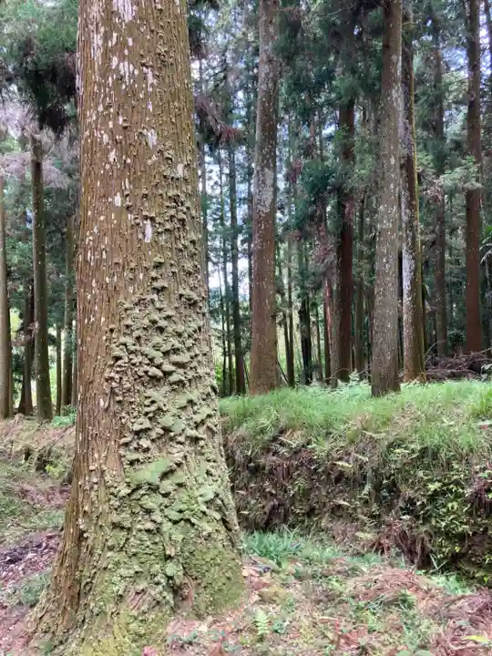 若王子神社の自然