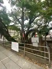 豊受神社(千葉県)