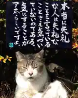 専念寺(大阪府)