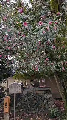 梅宮大社(京都府)