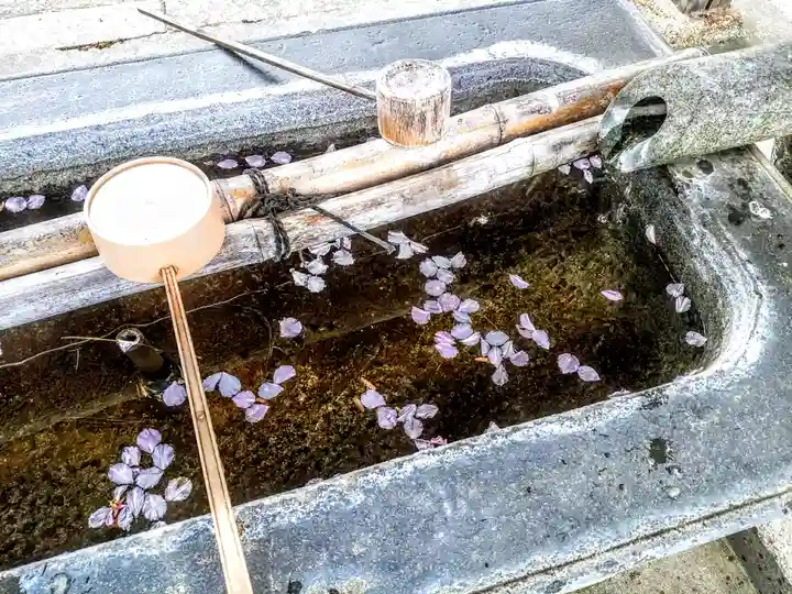 光照院の手水舎