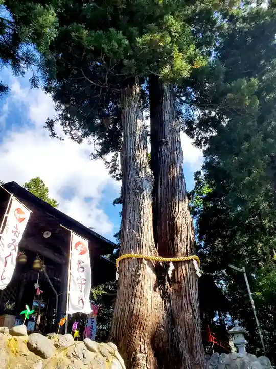 高司神社〜むすびの神の鎮まる社〜の自然