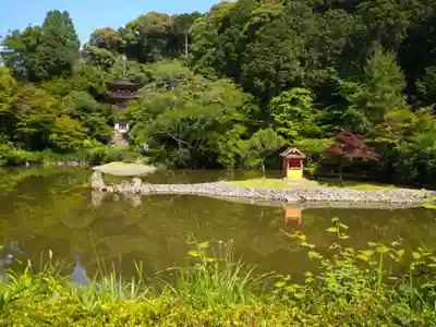 浄瑠璃寺(京都府)