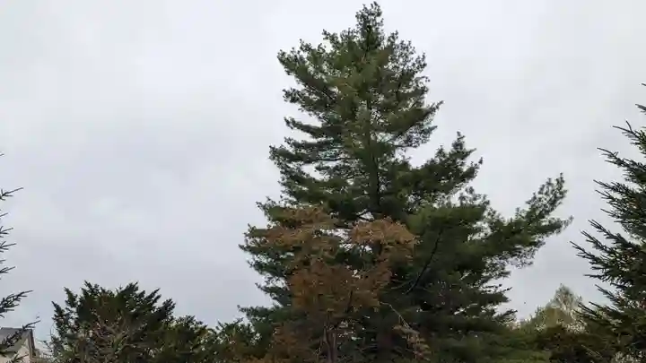 池田神社の自然