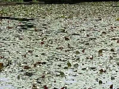 龍安寺(京都府)