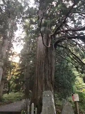 比婆山熊野神社のその他建物